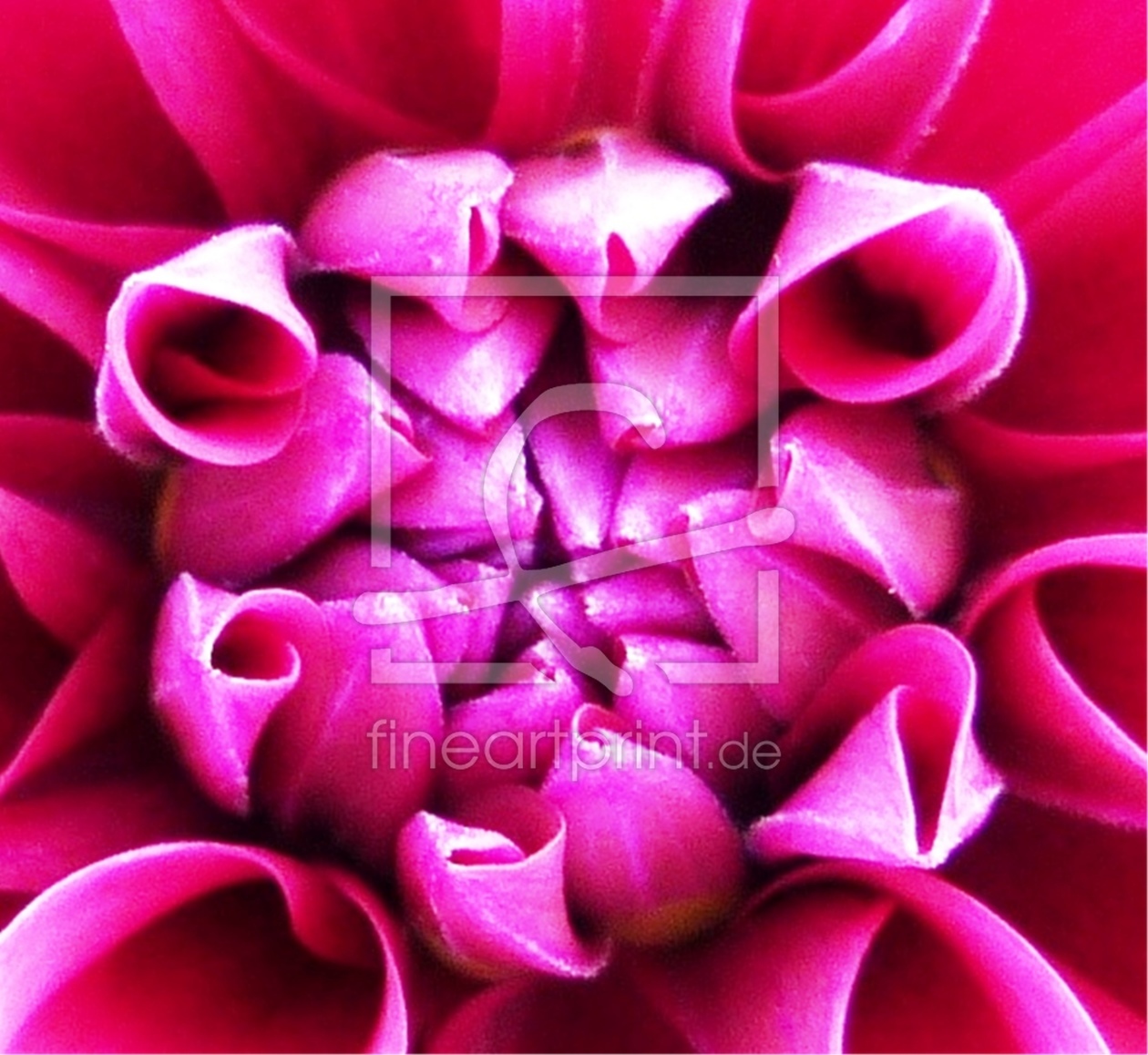 Bild-Nr.: 10500563 Blume - Blütenmosaik erstellt von Mahona