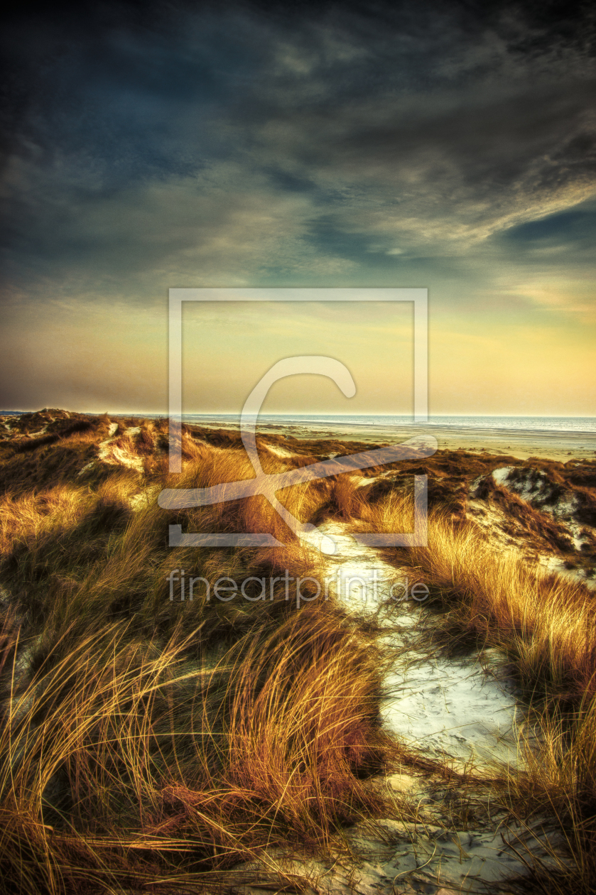 Bild-Nr.: 10505507 North sea dunes erstellt von JimP4nsen