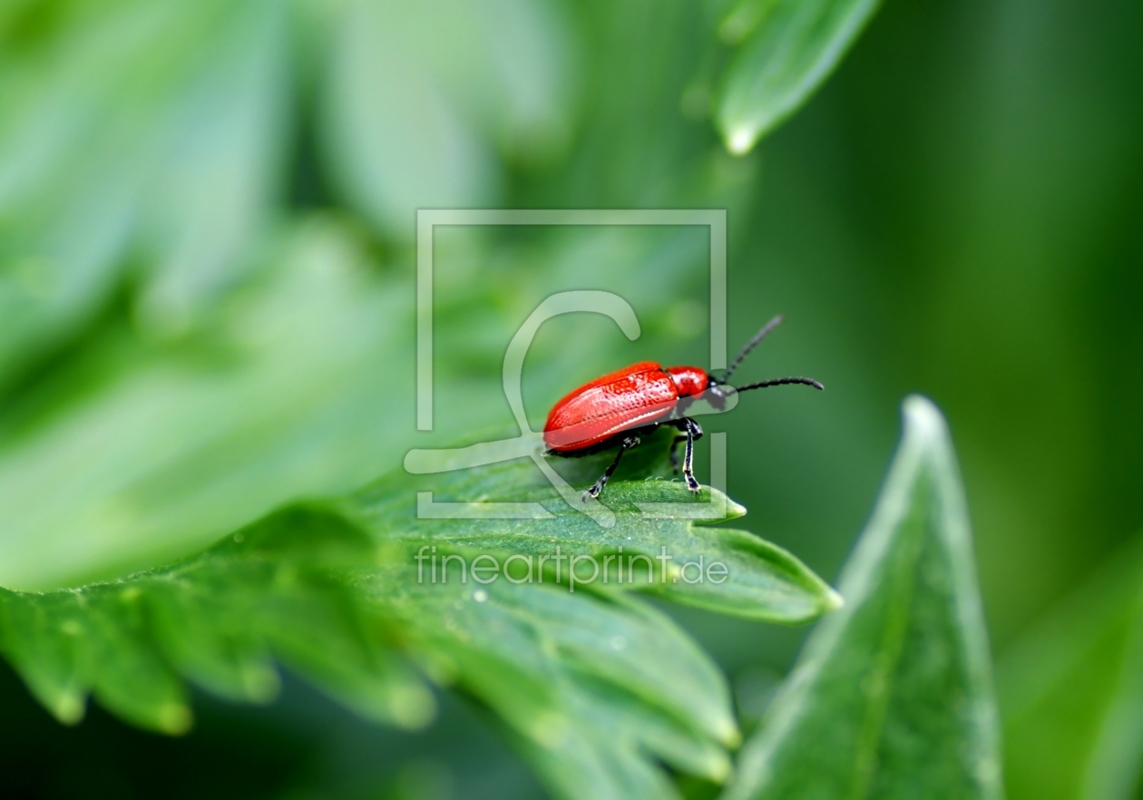 Bild-Nr.: 10511399 Red Devil erstellt von youhaveadream