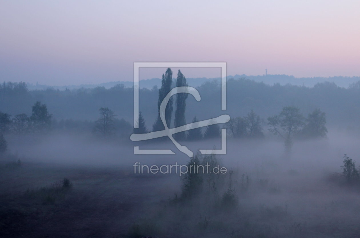 Bild-Nr.: 10512231 Morgennebel - pur - erstellt von Heike Hultsch