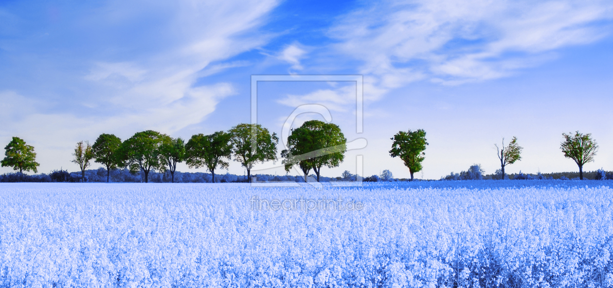 Bild-Nr.: 10516423 Blue erstellt von Atteloi