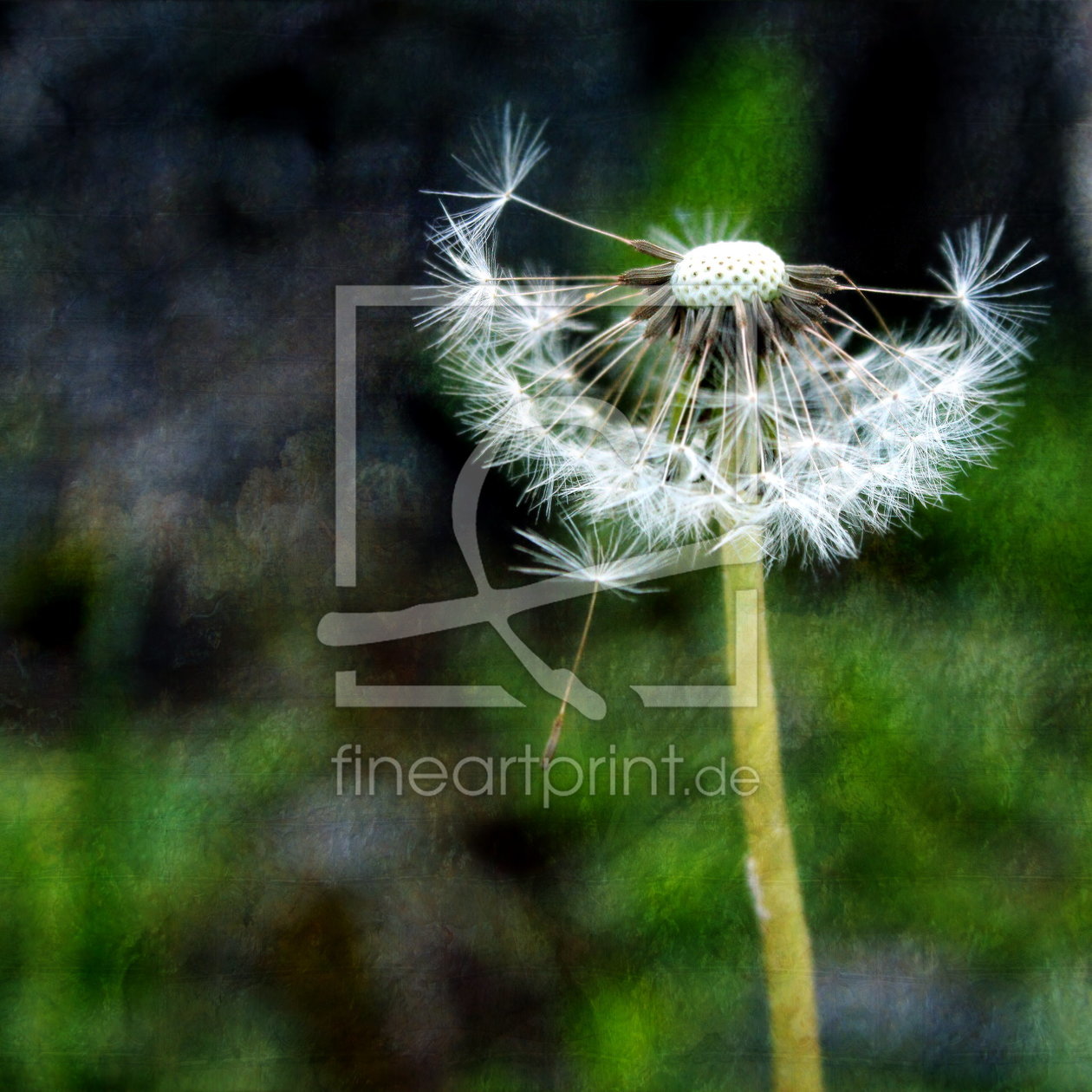 Bild-Nr.: 10516783 Frühlingsimpressionen erstellt von Heike Hultsch