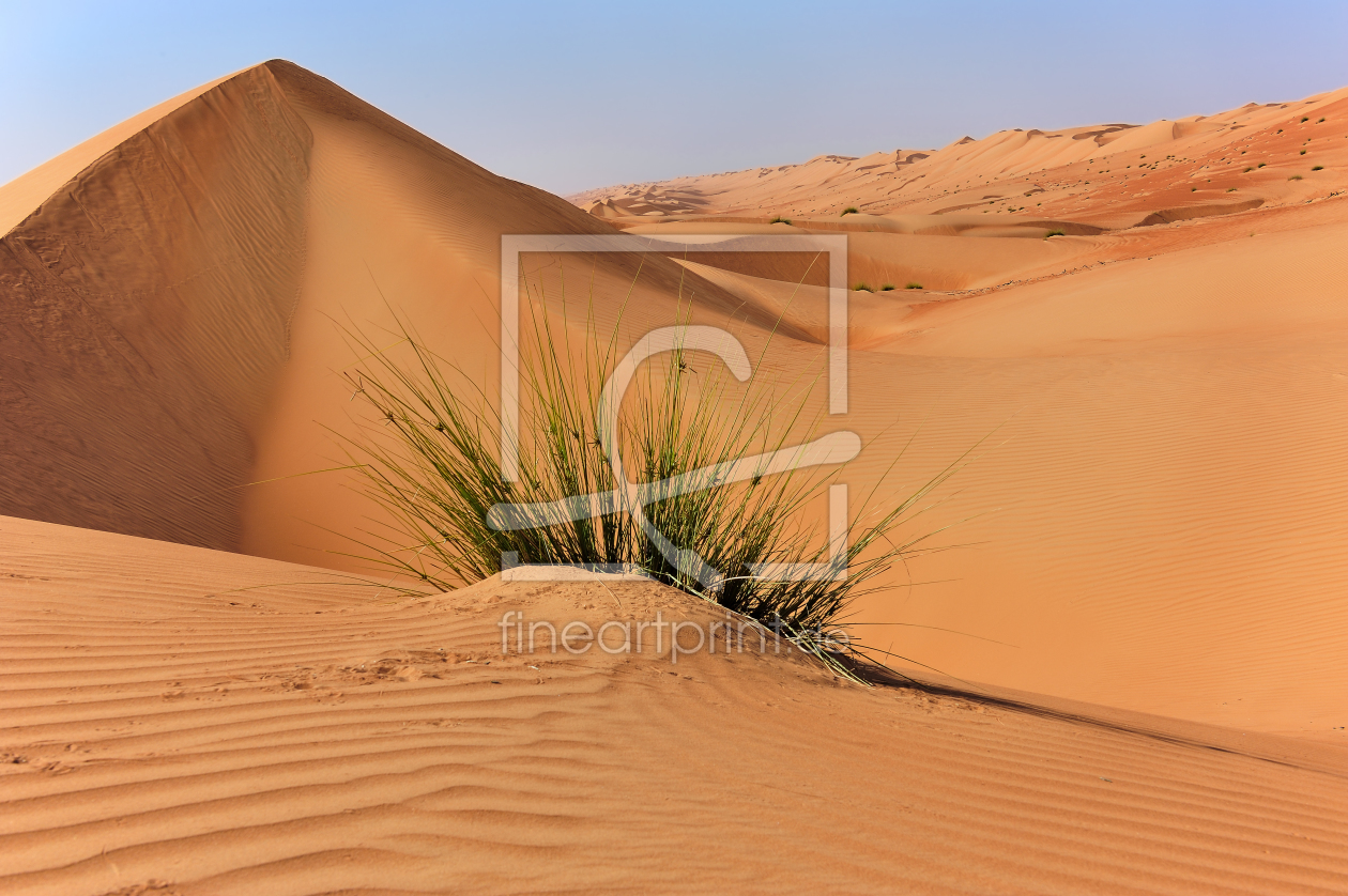 Bild-Nr.: 10518467 Dünenlandschaft erstellt von KundenNr-160338