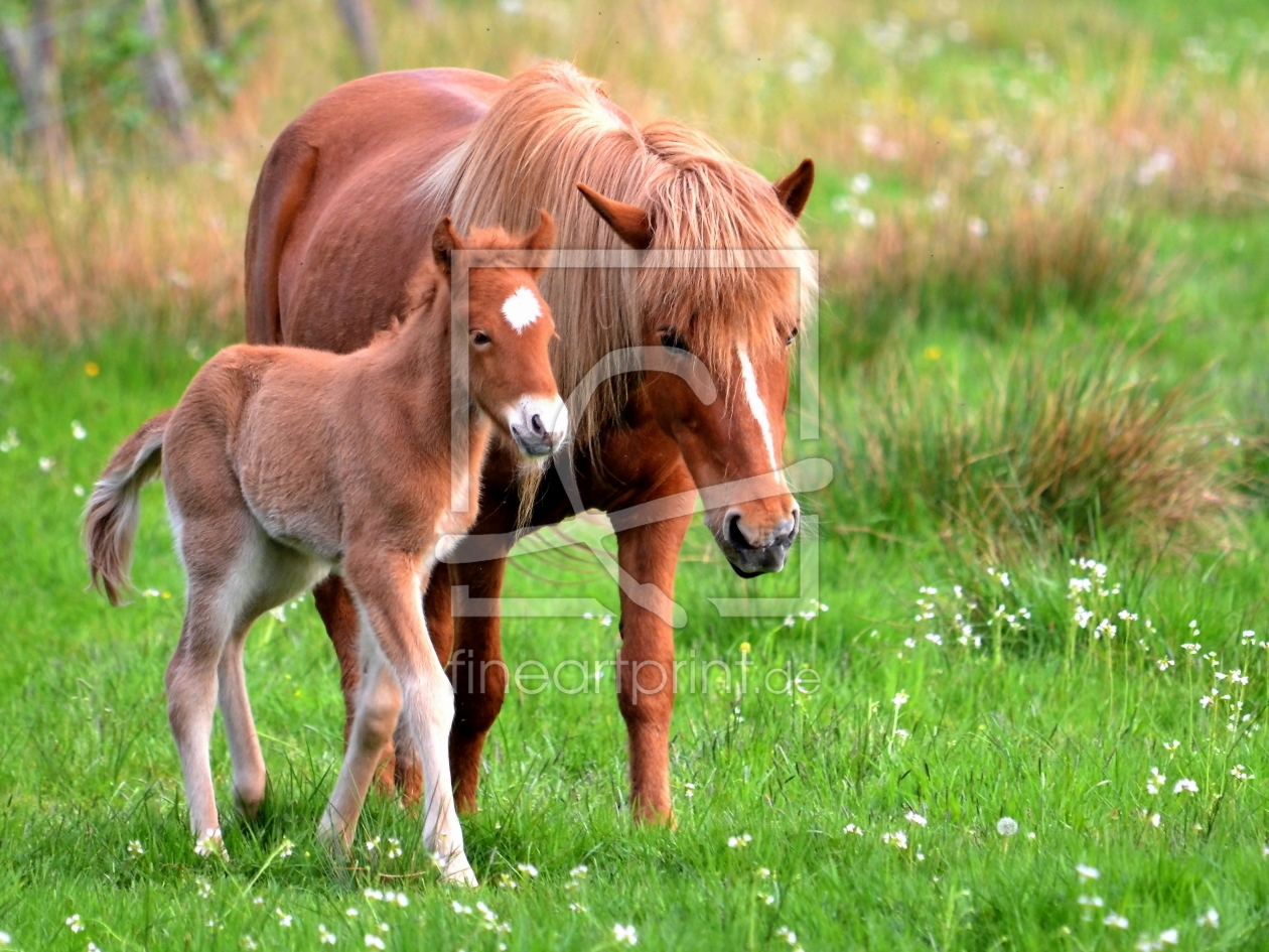 Bild-Nr.: 10524407 In der Nähe der Mutter erstellt von Ostfriese