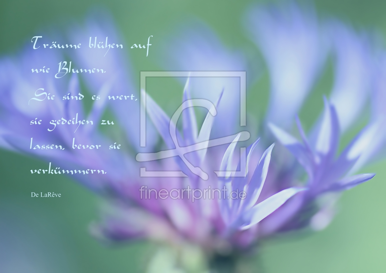 Bild-Nr.: 10535393 May your dreams come true erstellt von youhaveadream