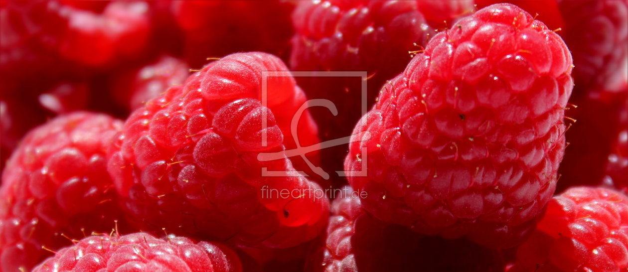 Bild-Nr.: 10536301 Himbeeren - Panorama - erstellt von Heike  Hultsch