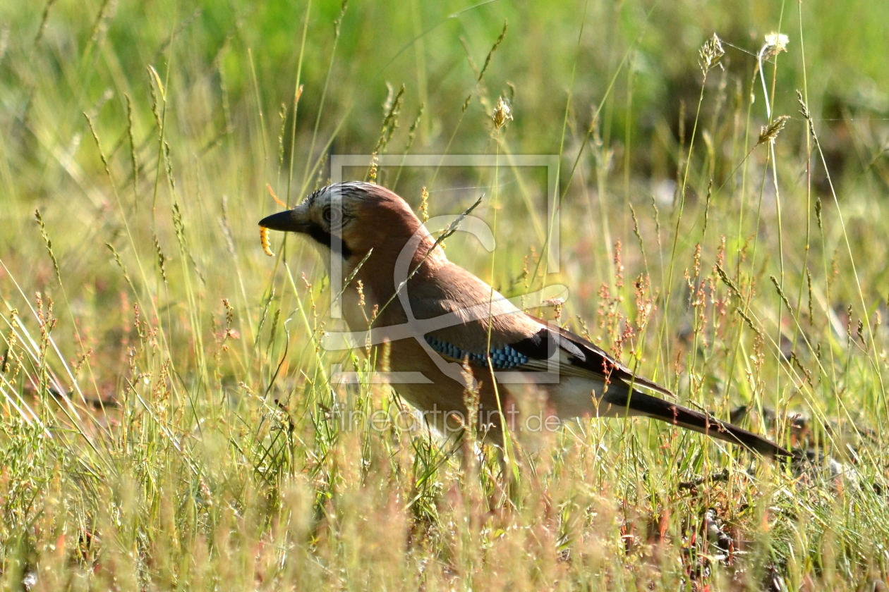 Bild-Nr.: 10537569 Leckerbissen erstellt von Ostfriese