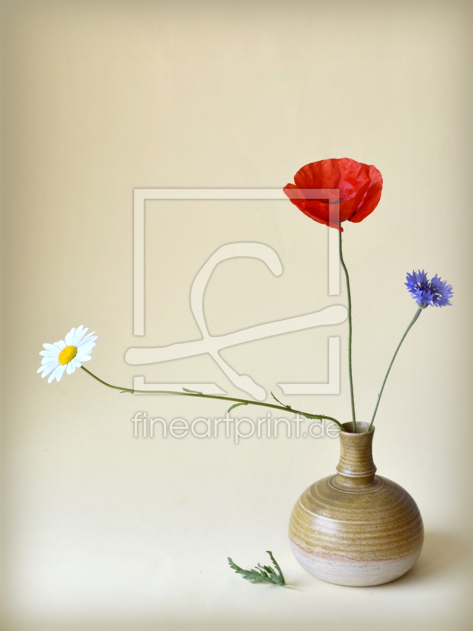 Bild-Nr.: 10539711 Blütentrio erstellt von Rolf Eschbach