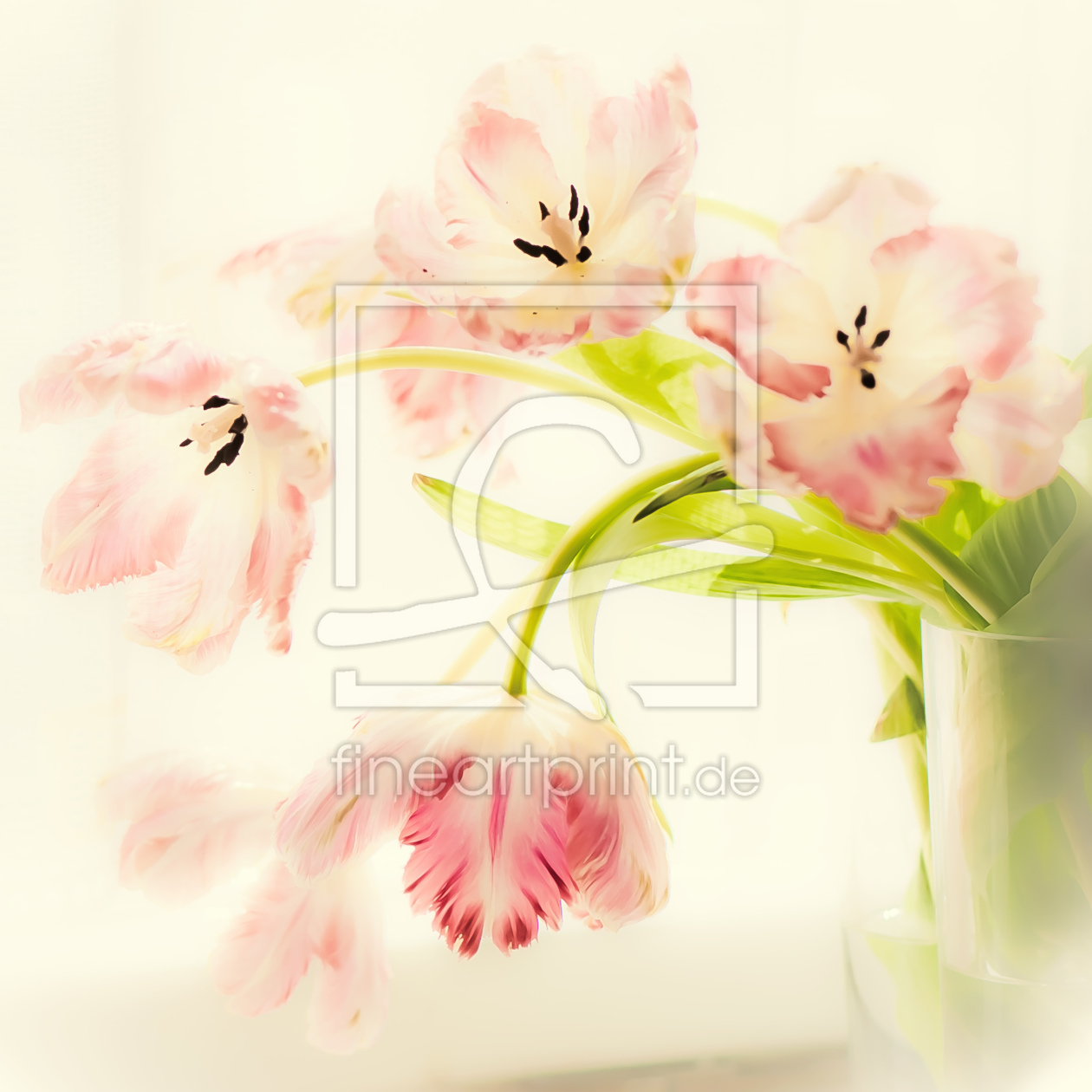 Bild-Nr.: 10540423 Tulpen in Pastell erstellt von FrauDoktor