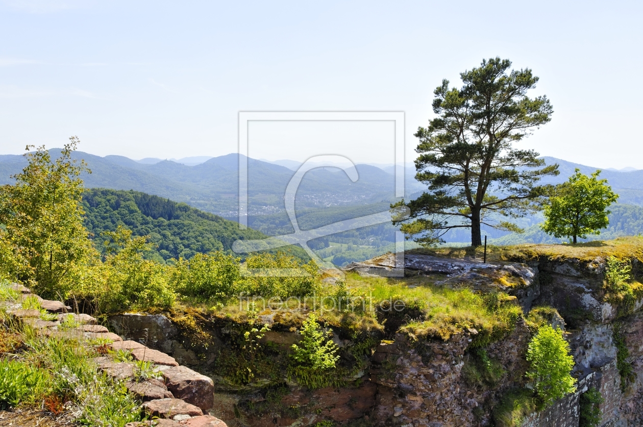 Bild-Nr.: 10541823 Neu-Scharfeneck - Plateau 42 erstellt von Erhard Hess