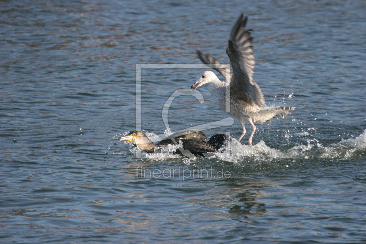 Bild-Nr.: 10542079 Surfer erstellt von FotoDeHRO