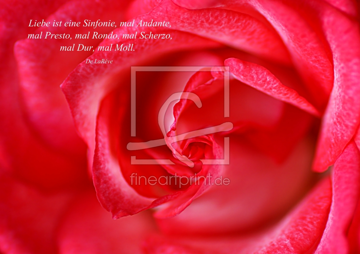 Bild-Nr.: 10547789 L´amour erstellt von youhaveadream