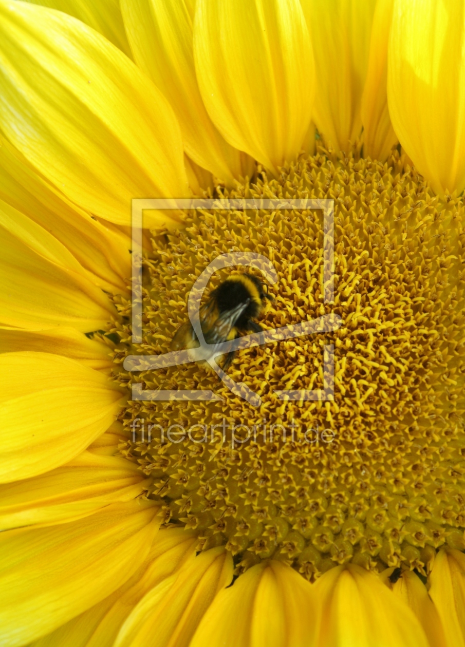 Bild-Nr.: 10548339 Sommertraum erstellt von Sergej Weber