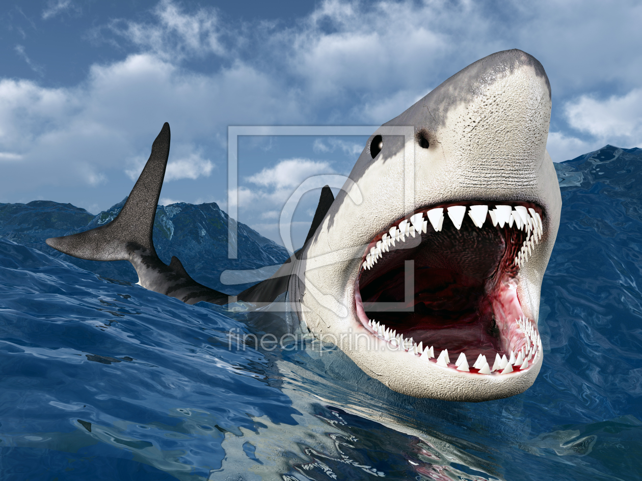 Bild-Nr.: 10548671 Weißer Hai erstellt von Michael Rosskothen