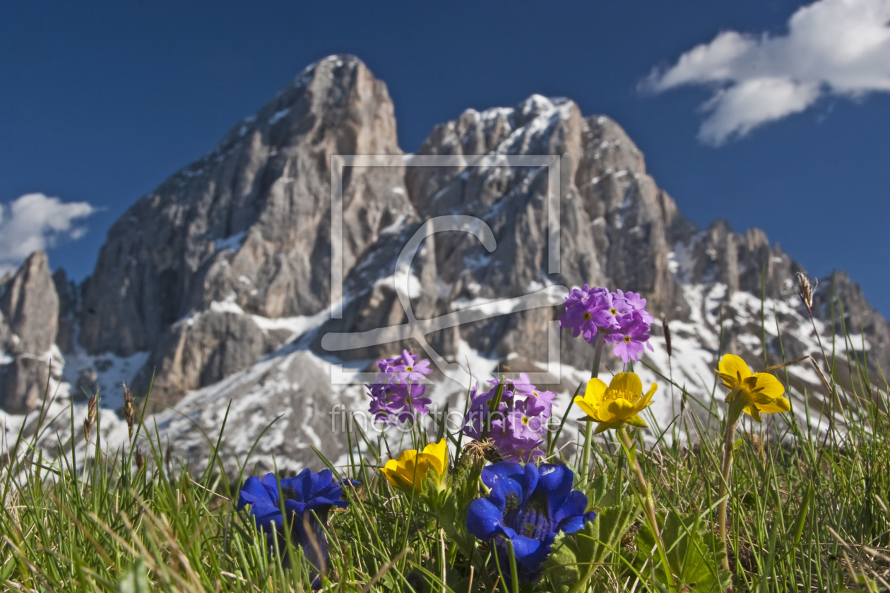 Bild-Nr.: 10549349 Frühling in den Dolomiten erstellt von EderHans