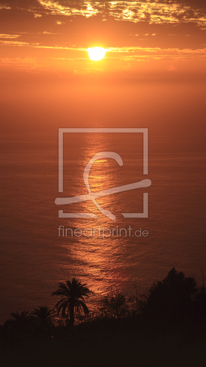 Bild-Nr.: 10551371 Sunset mit Palme erstellt von Taurus