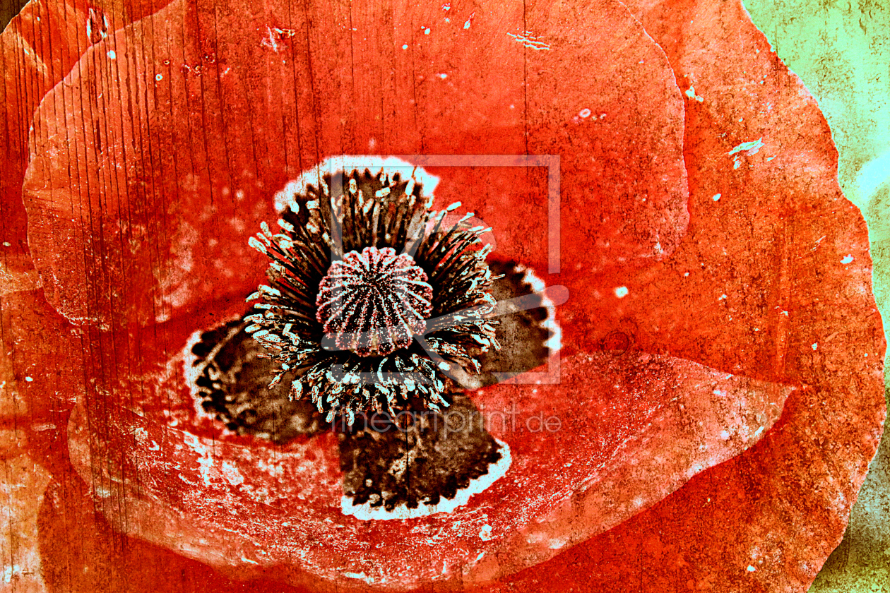 Bild-Nr.: 10552143 Roter Mohn erstellt von Alex72