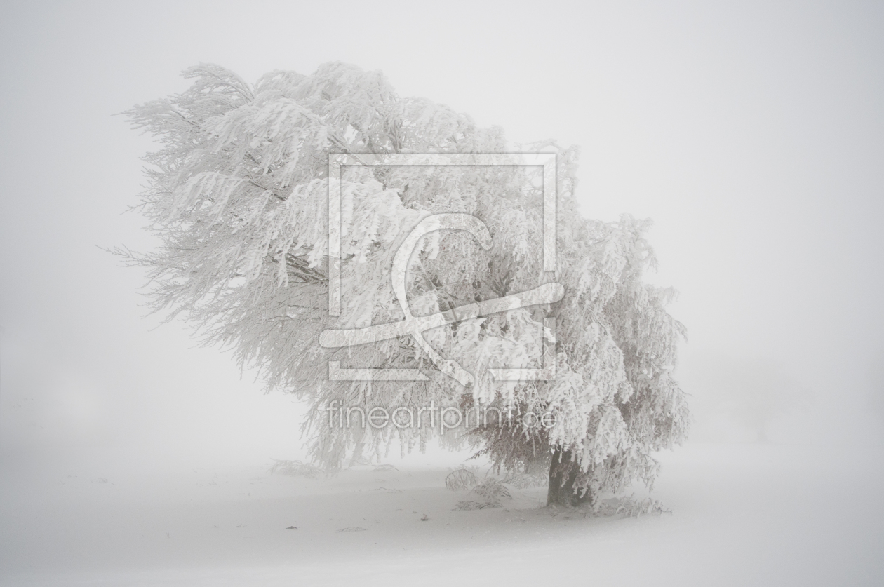 Bild-Nr.: 10552961 Schneeverweht erstellt von kemai
