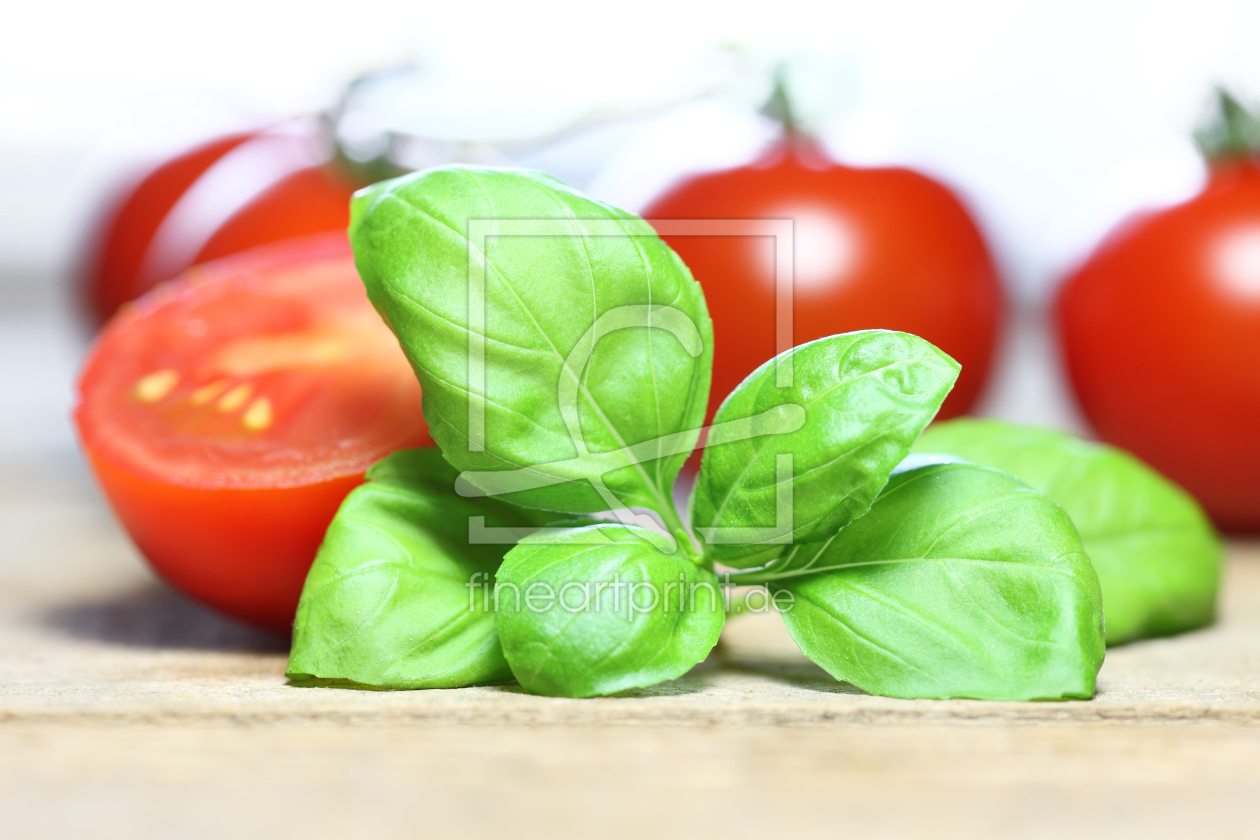 Bild-Nr.: 10555439 Basilikum und Tomate erstellt von Jana Behr