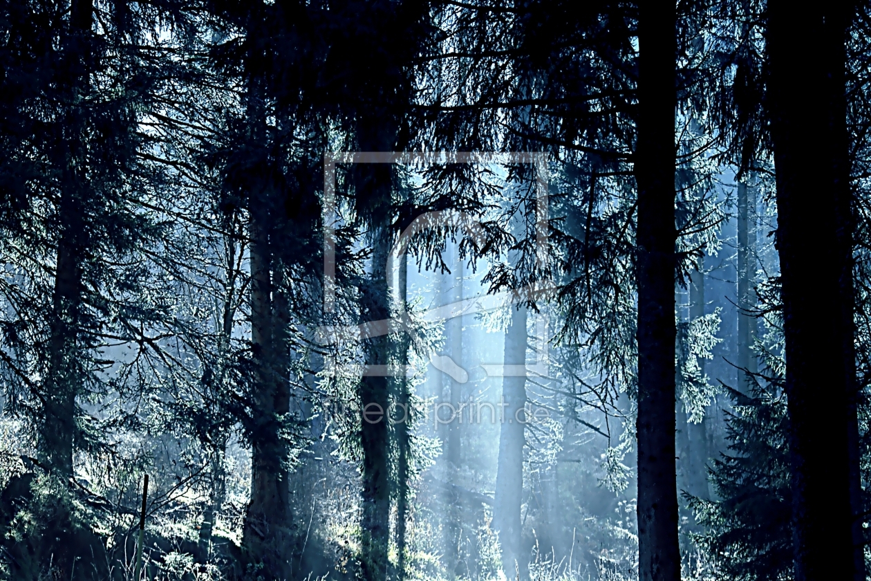 Bild-Nr.: 10555809 Morning has broken erstellt von youhaveadream