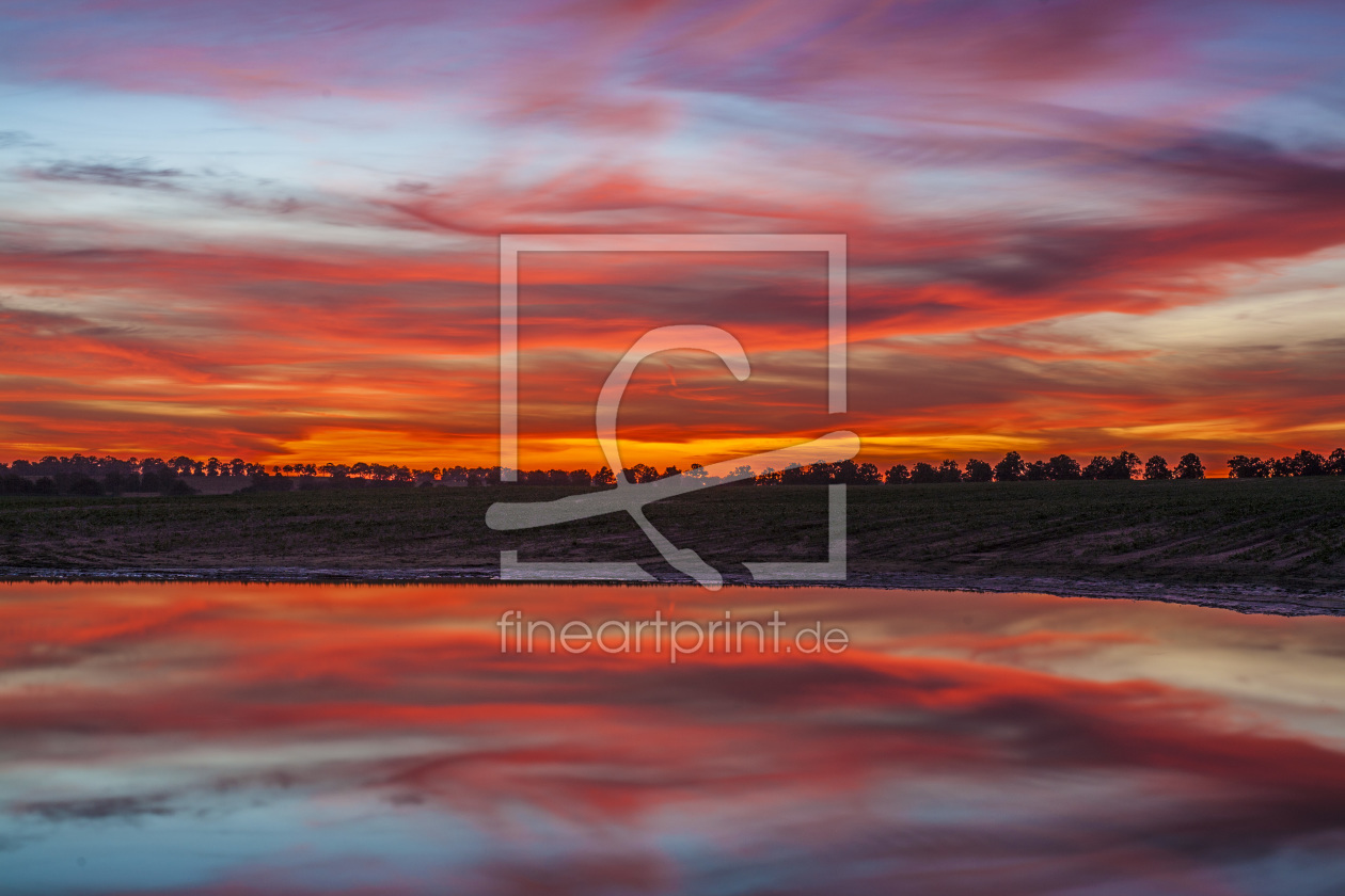 Bild-Nr.: 10565030 Oderbruch 2 erstellt von PremiumRailPhotography