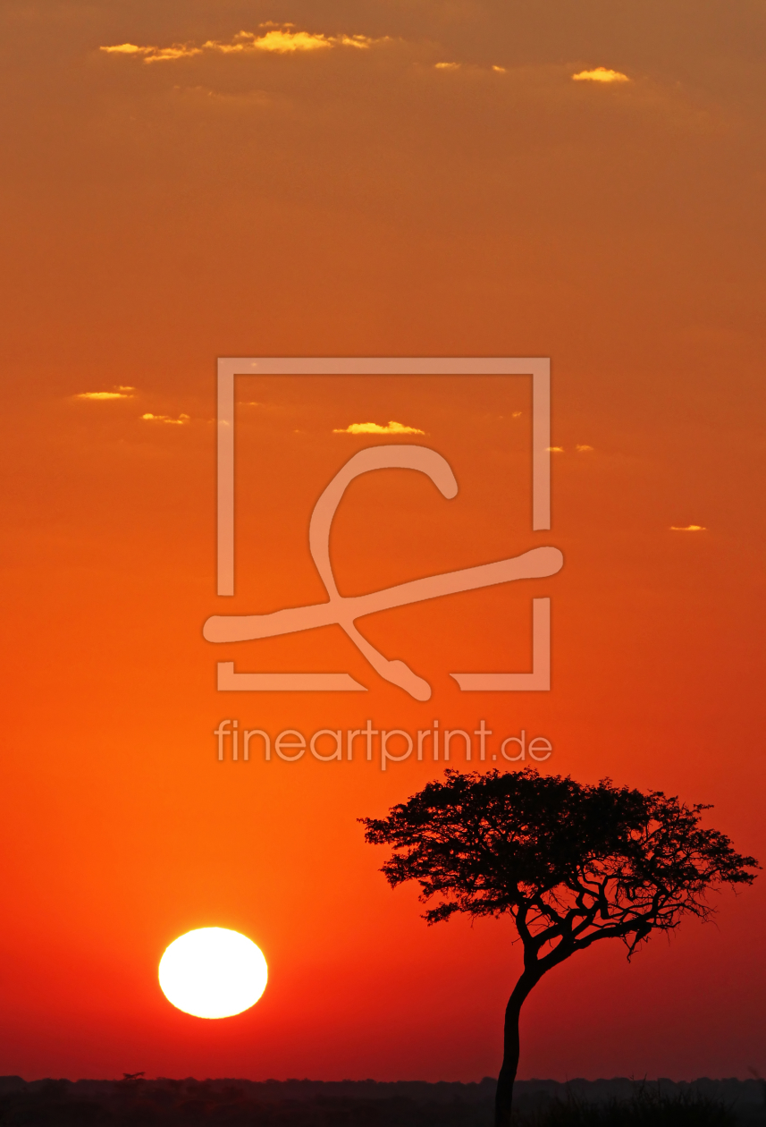 Bild-Nr.: 10566134 African Sunset erstellt von Manuel Schulz