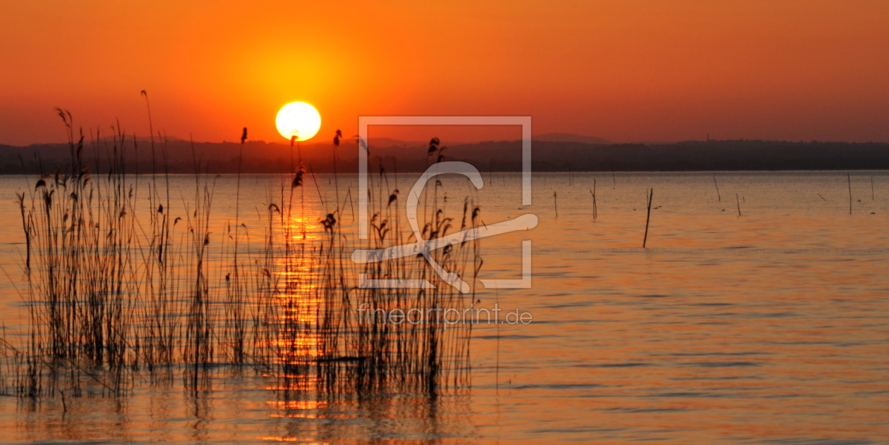 Bild-Nr.: 10568876 Am Trasimeno-See erstellt von GUGIGEI