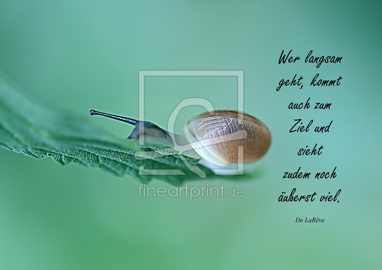 Bild-Nr.: 10570510 Mini Schnecke erstellt von youhaveadream