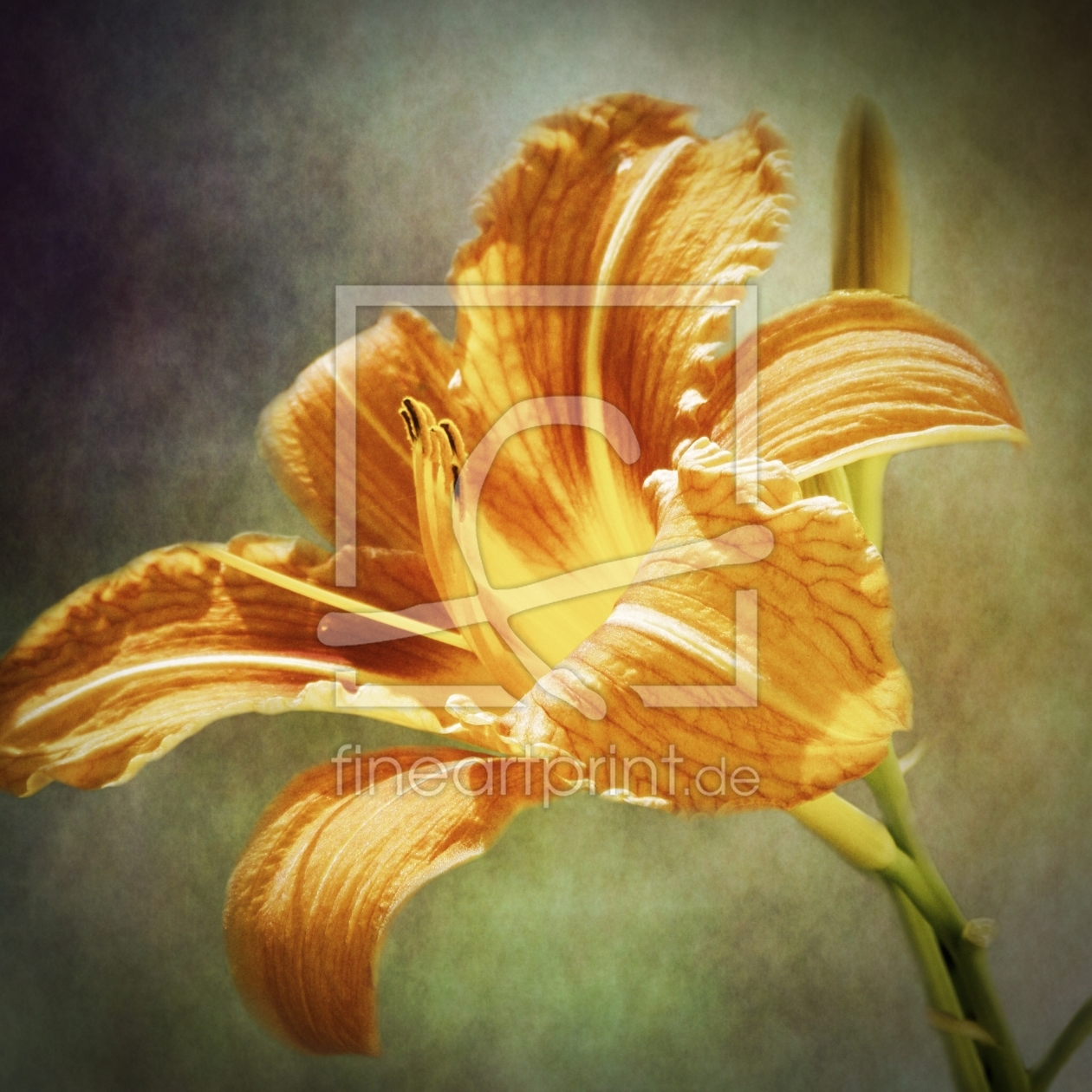 Bild-Nr.: 10573281 lily vintage erstellt von PaulaPanther