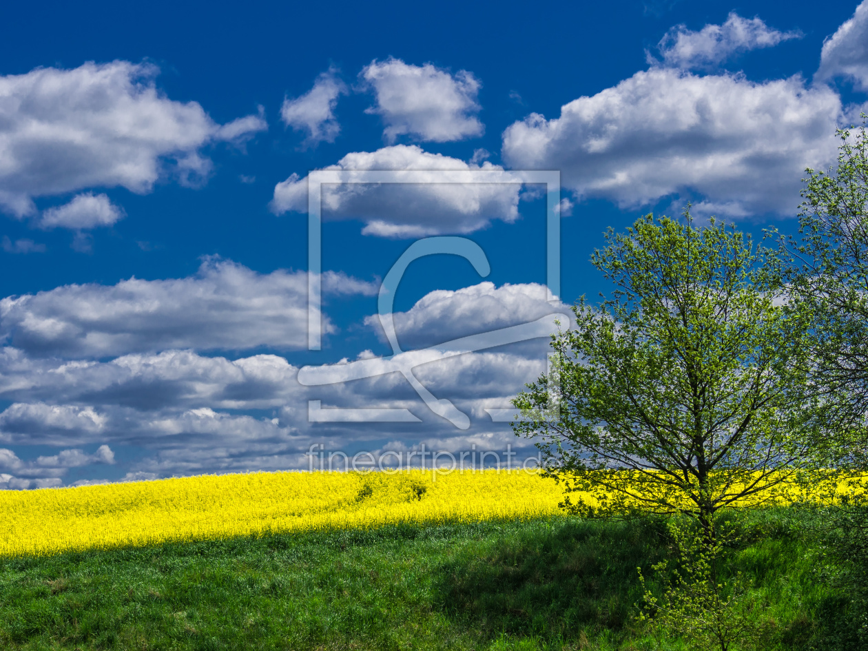 Bild-Nr.: 10574319 Landschaft erstellt von Rico Ködder