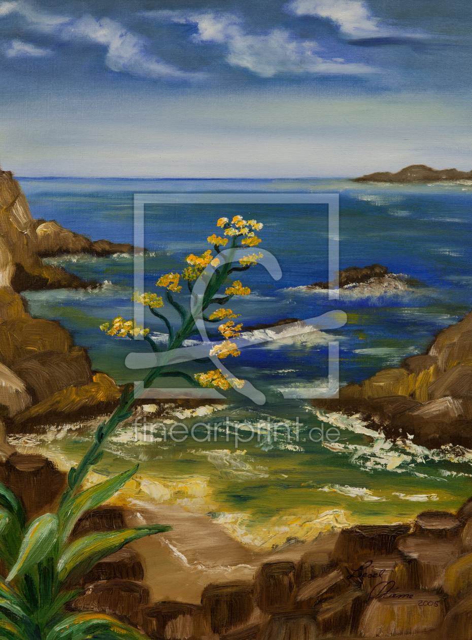 Bild-Nr.: 10574347 Agave en la Costa erstellt von Christian Thieme