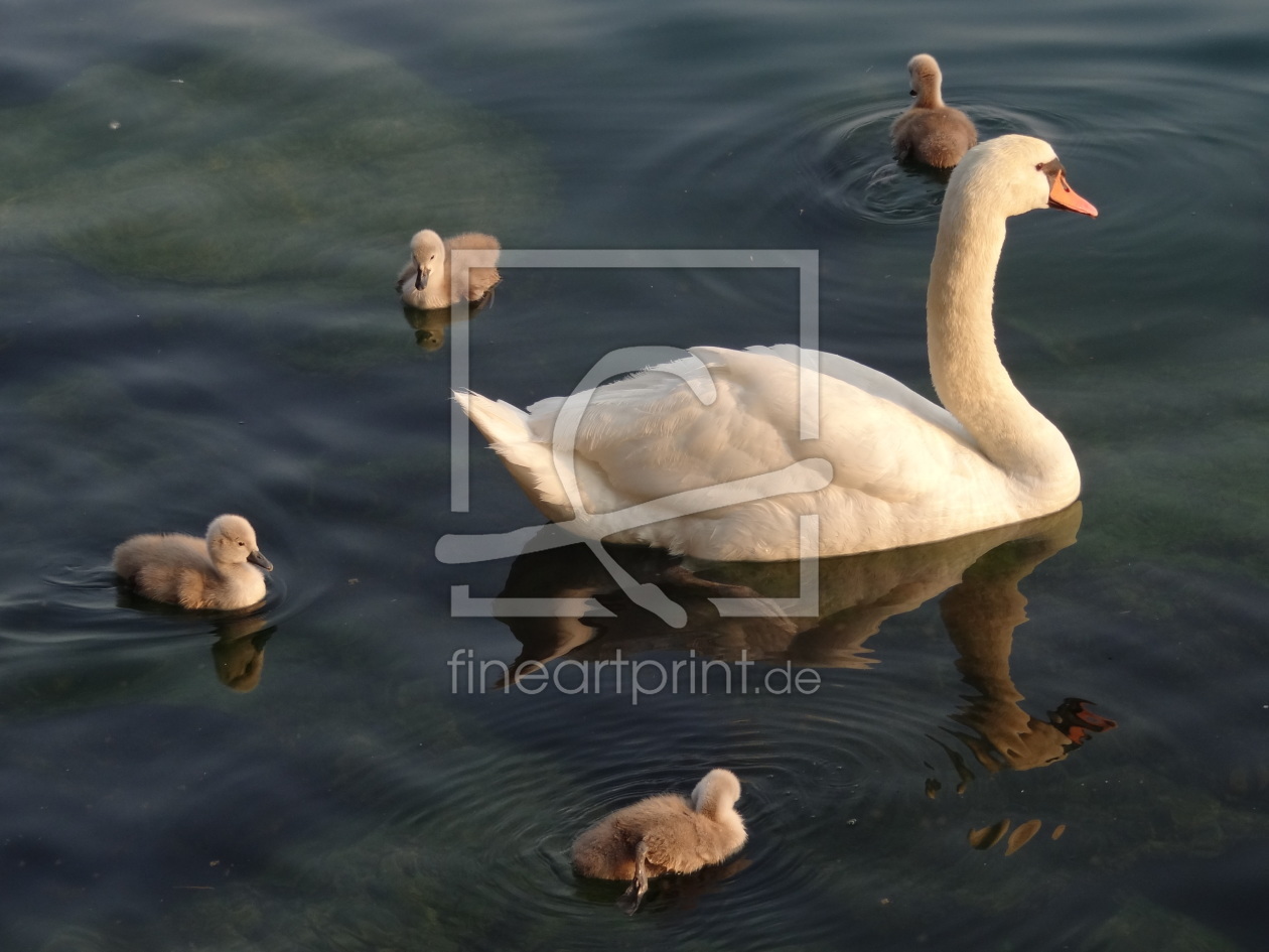 Bild-Nr.: 10575925 Family erstellt von flori0