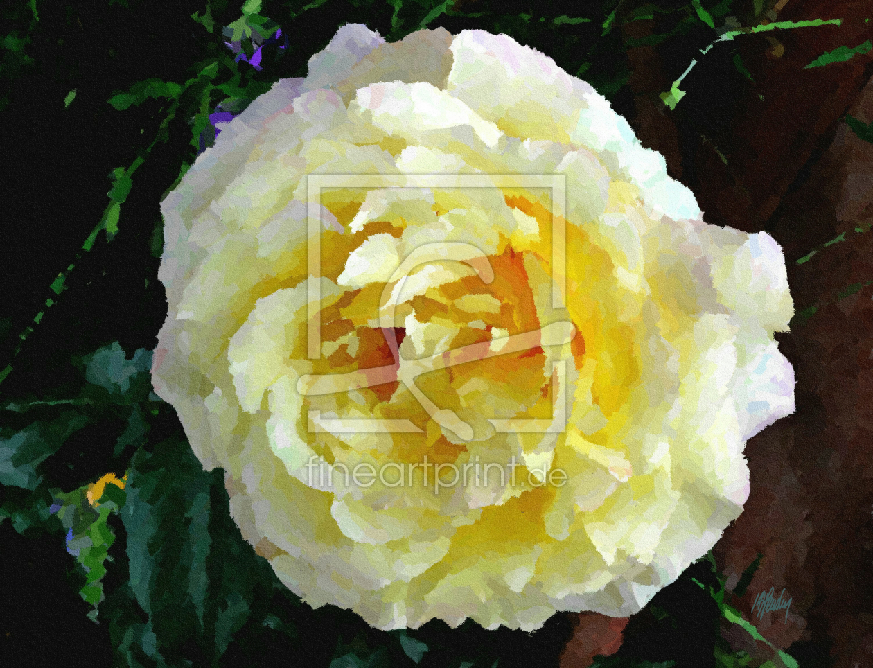 Bild-Nr.: 10577755 Rose 1 Gloria Dei Peace erstellt von dpensky