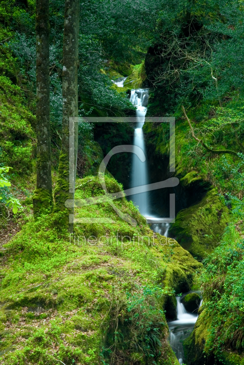 Bild-Nr.: 10585779 Tor zur Elfenwelt, Poulanass Waterfall, Co. Wicklow erstellt von Stefan Friedhoff