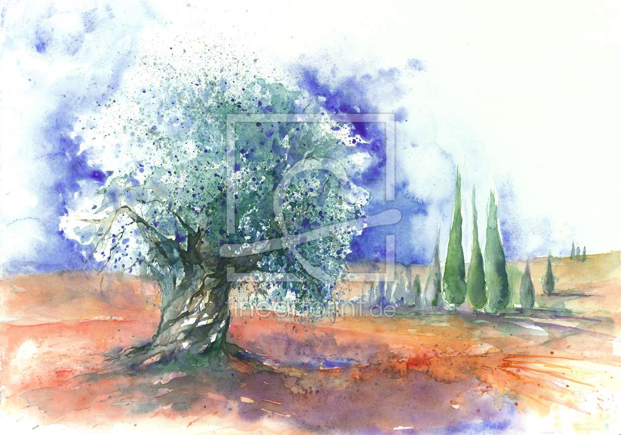 Bild-Nr.: 10590121 Olivenbaum erstellt von JitkaKrause