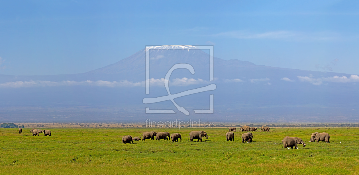 Bild-Nr.: 10599068 Kilimanjaro Panorama erstellt von Safarifotografie