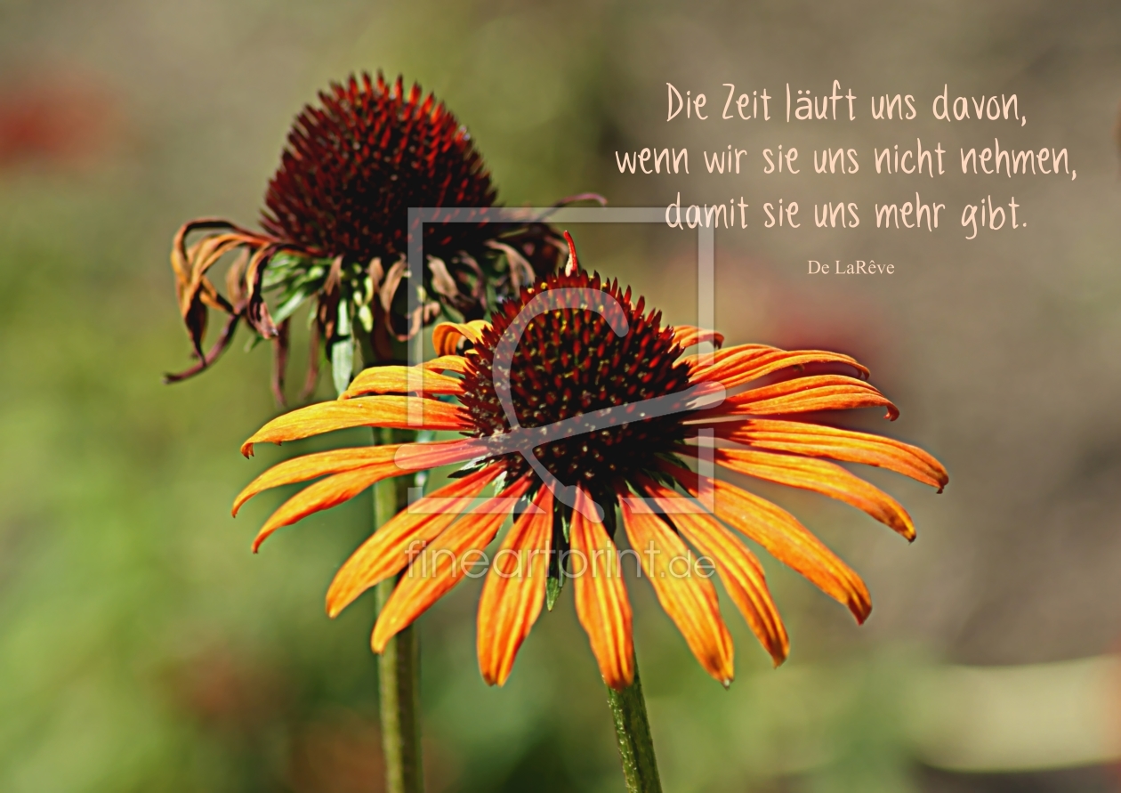 Bild-Nr.: 10600642 Time erstellt von youhaveadream