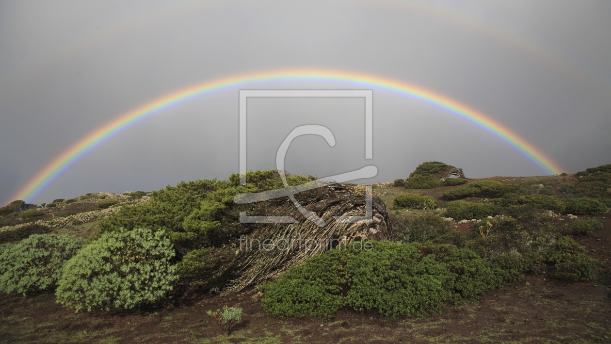Bild-Nr.: 10601730 Rainbow erstellt von Taurus