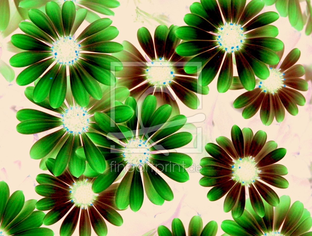 Bild-Nr.: 10603846 Flower Power erstellt von GUGIGEI