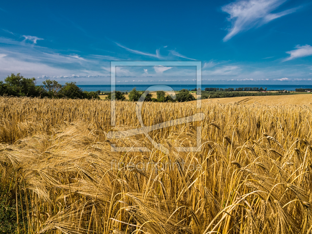 Bild-Nr.: 10604386 Landschaft am Meer erstellt von Rico Ködder