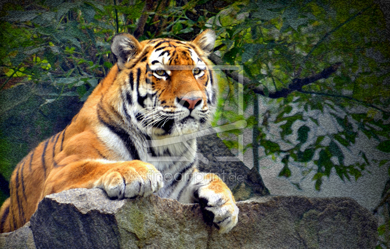Bild-Nr.: 10604950 Der Tiger erstellt von Thomatorius