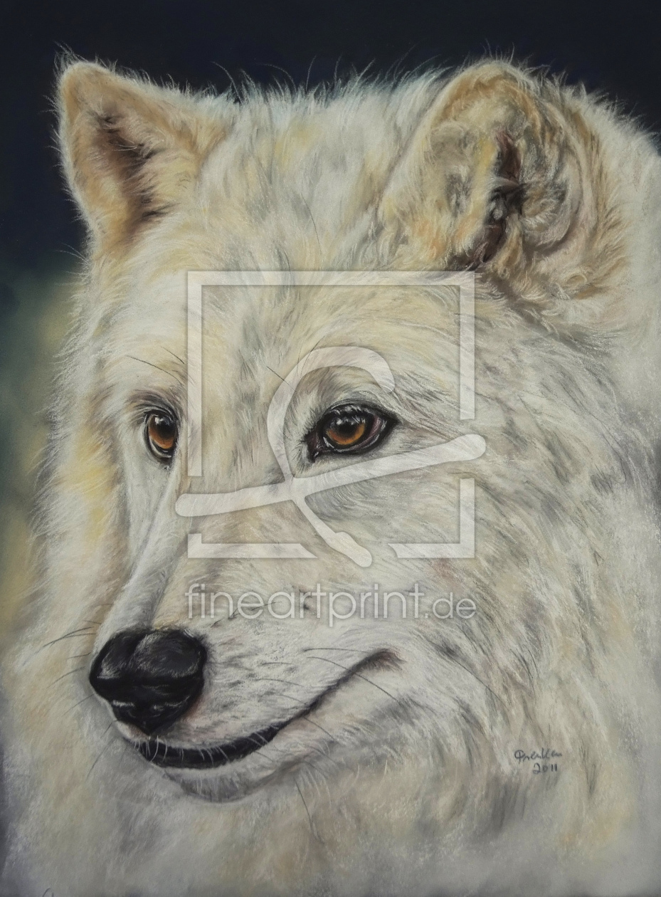 Bild-Nr.: 10611024 Arktis Wolf erstellt von Frenken-Art