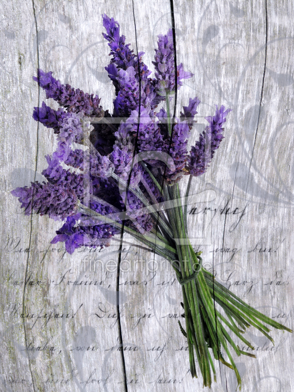 Bild-Nr.: 10612442 Duftender Lavendel erstellt von Susann Mielke