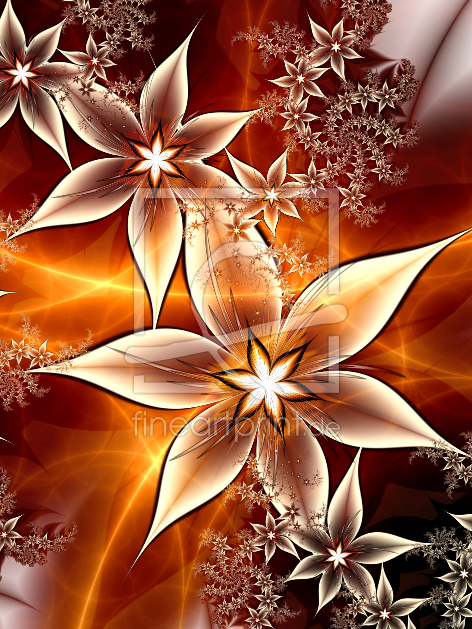 Bild-Nr.: 10612958 Blüten im Licht erstellt von Christine Kühnel