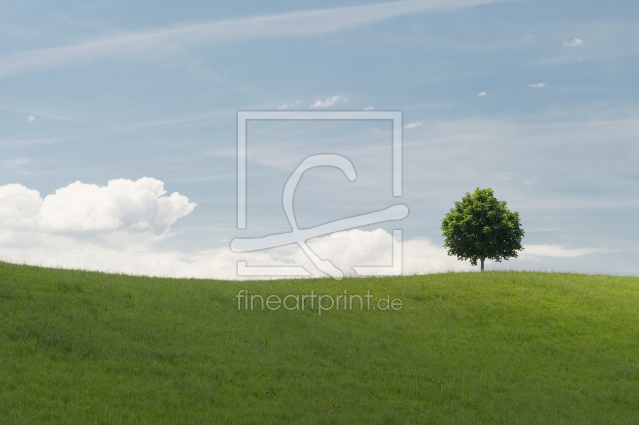 Bild-Nr.: 10613874 einsamer Baum und Himmel erstellt von danielschoenen