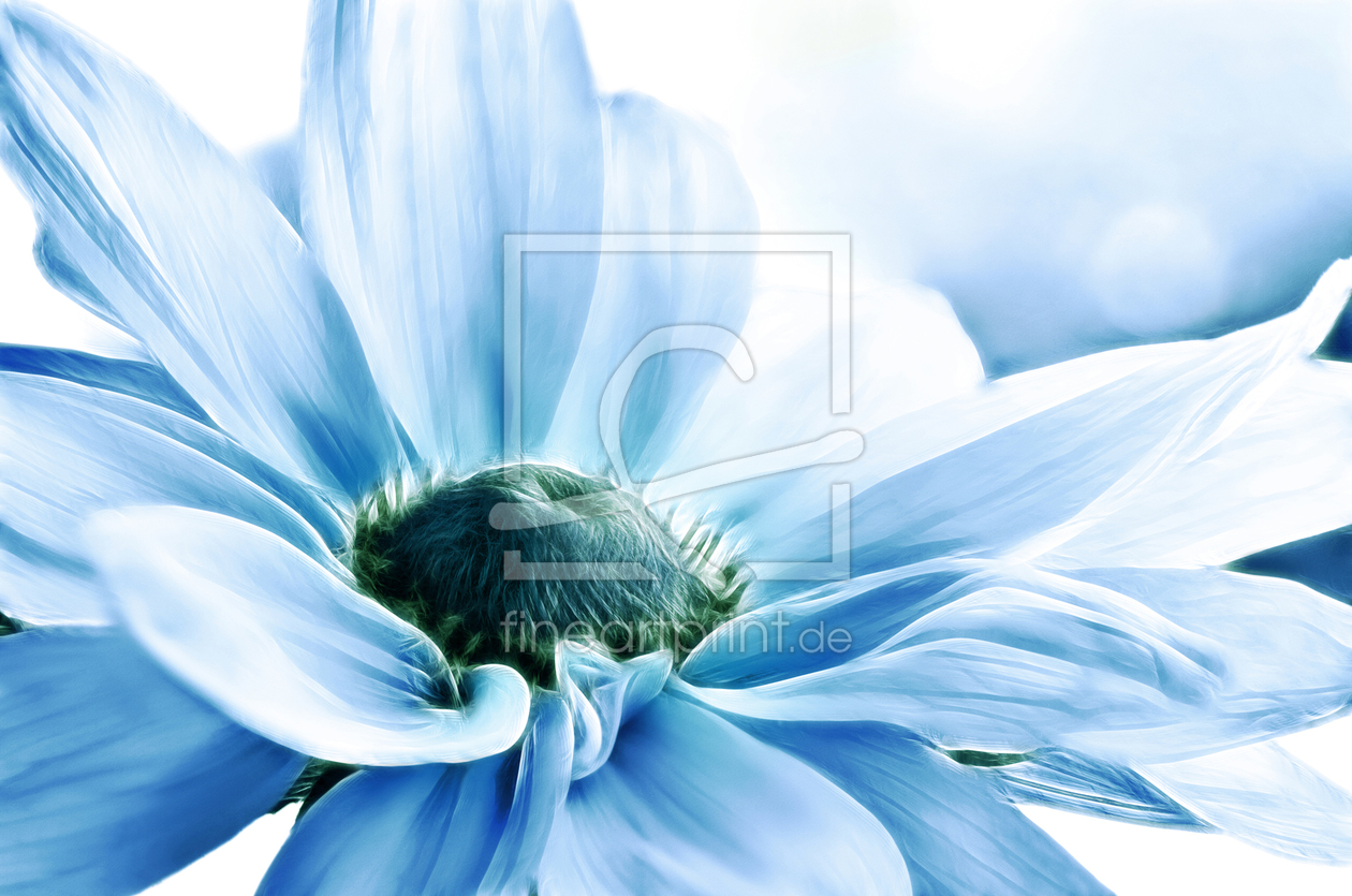 Bild-Nr.: 10614722 Blüte erstellt von Atteloi
