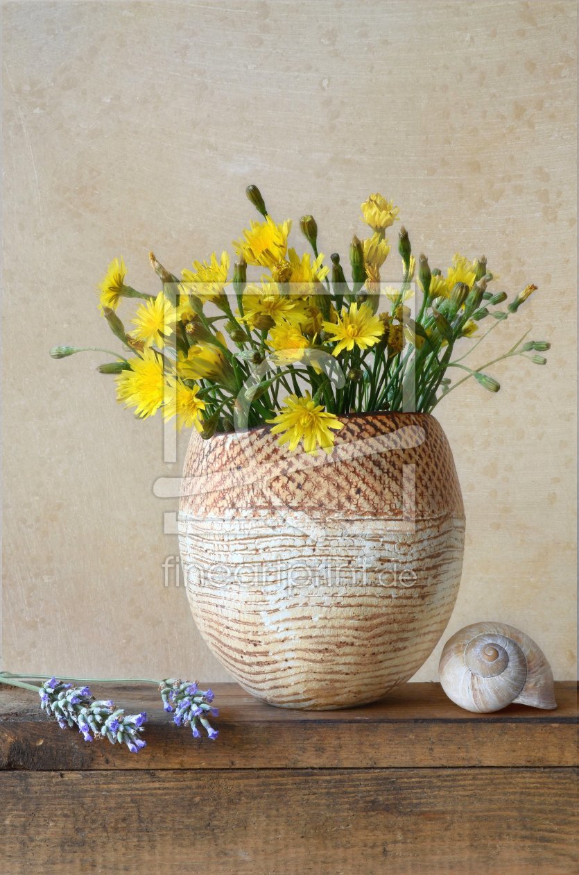 Bild-Nr.: 10616384 Stillleben mit Wildblumen erstellt von Rolf Eschbach