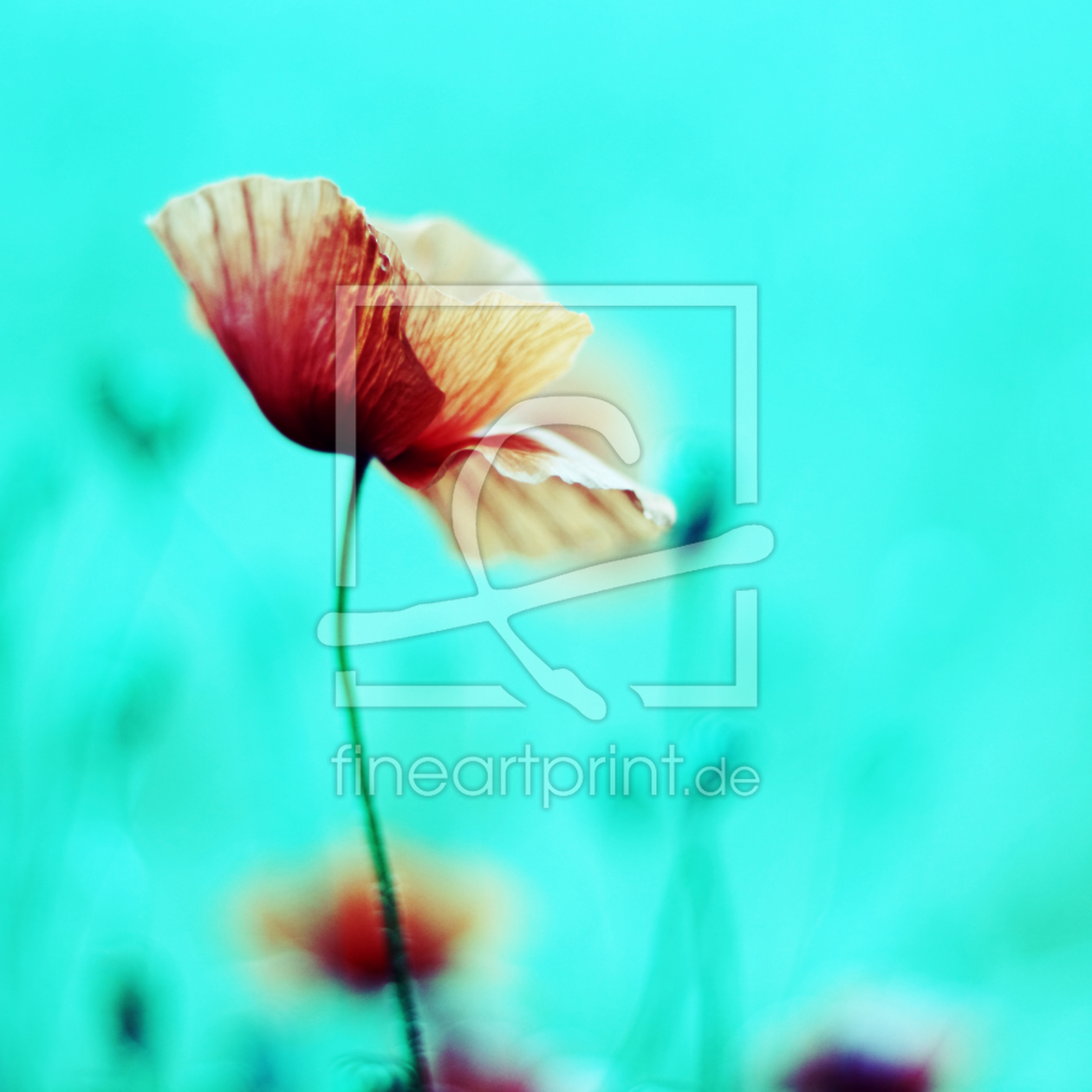 Bild-Nr.: 10618212 Fantasy Garden ~ Flower Dream°1 erstellt von syoung-photography