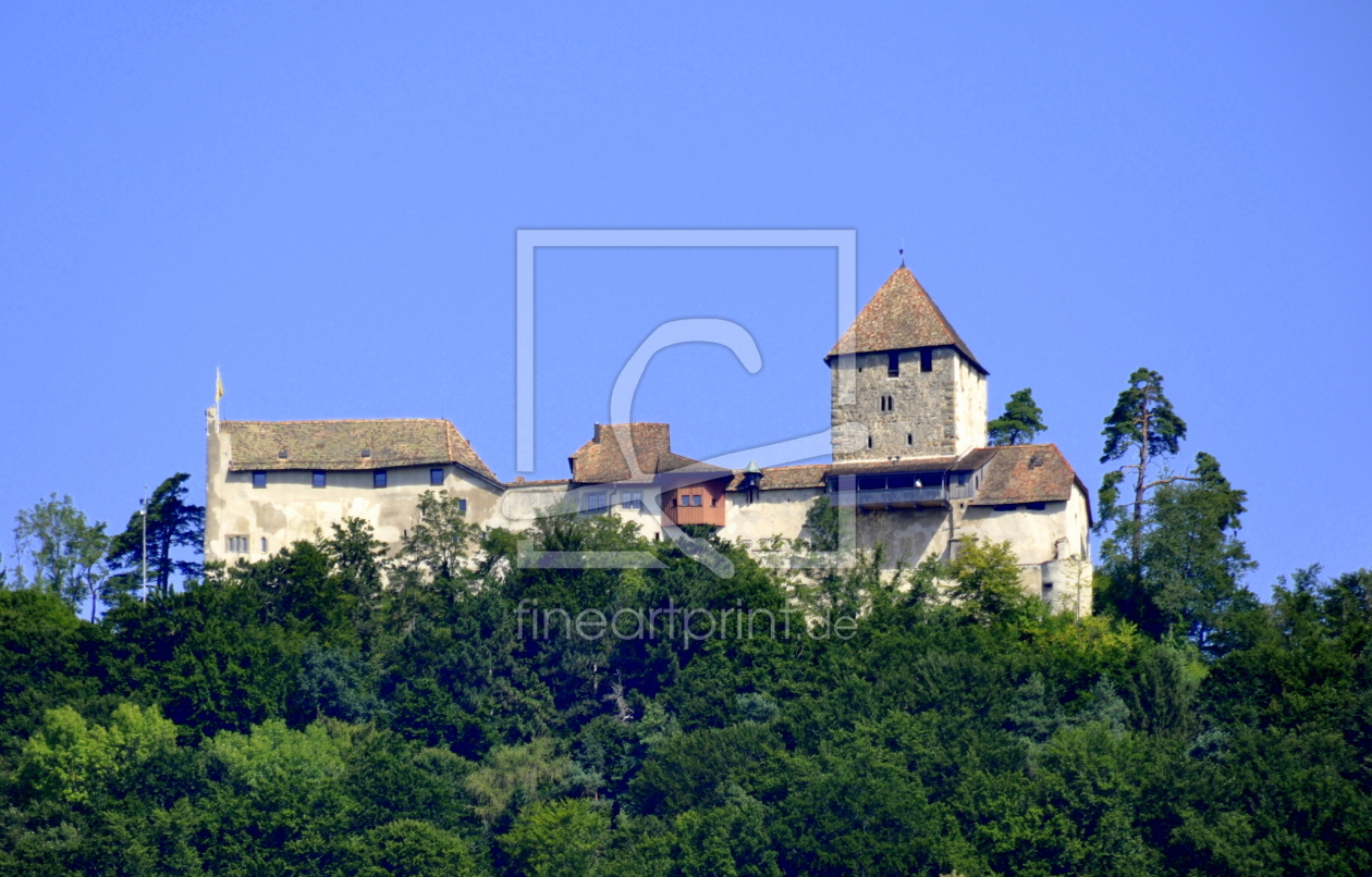 Bild-Nr.: 10618258 Burg Hohenklingen erstellt von GUGIGEI