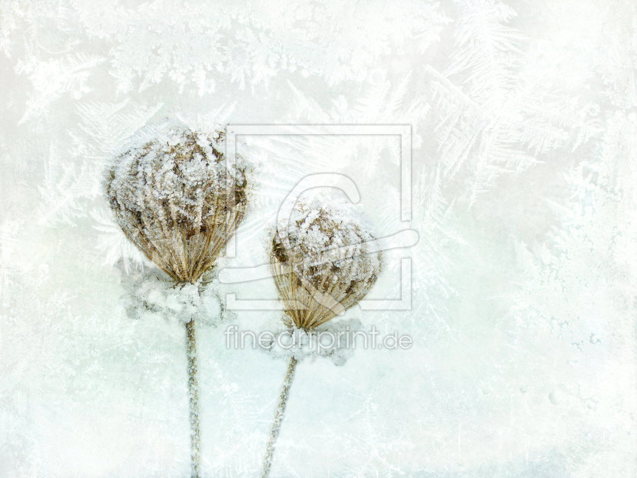 Bild-Nr.: 10618816 Das Pärchen im Winter erstellt von Heike  Hultsch